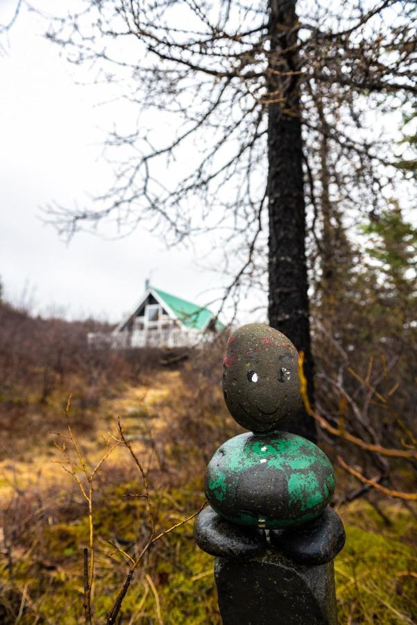 Bjoerk - A Cozy Hilltop Cottage - Great Location! Blaskogabyggd Buitenkant foto